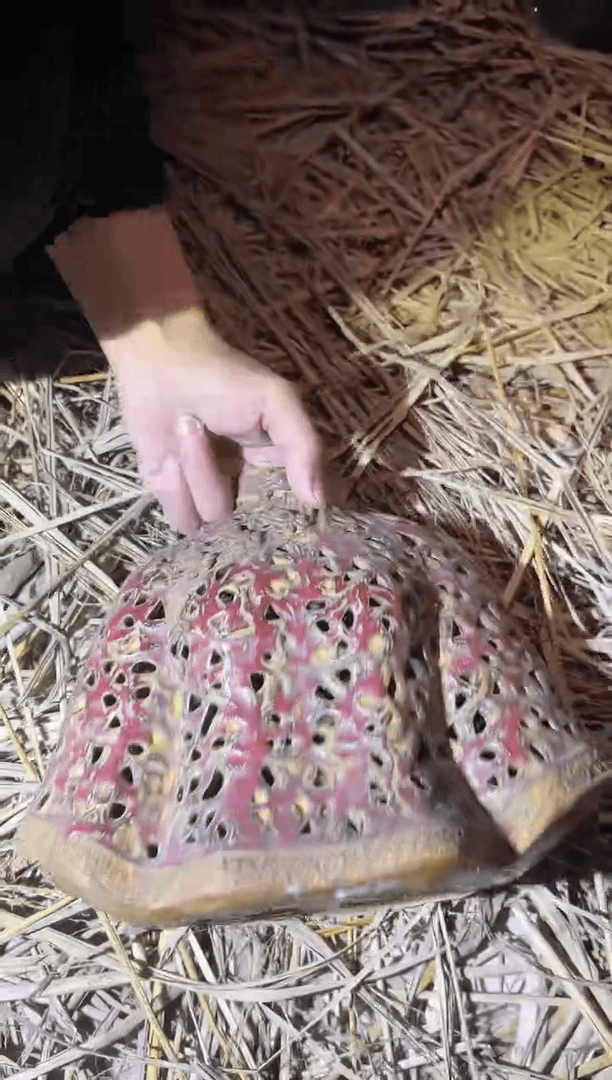 【闪购商品】陶瓷瓶Z258