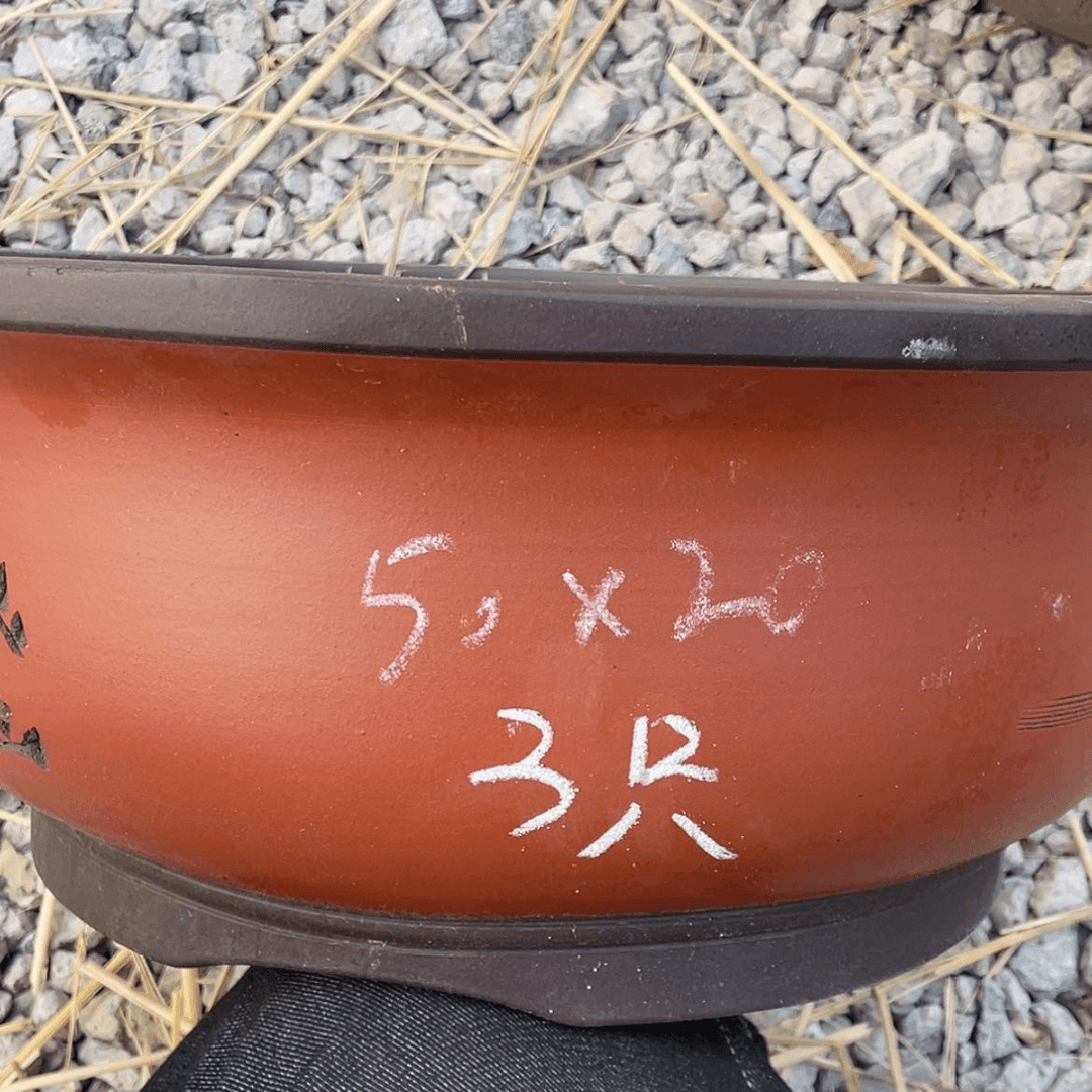 【闪购商品】紫砂171cm(含)-200cm(含)紫砂三只
