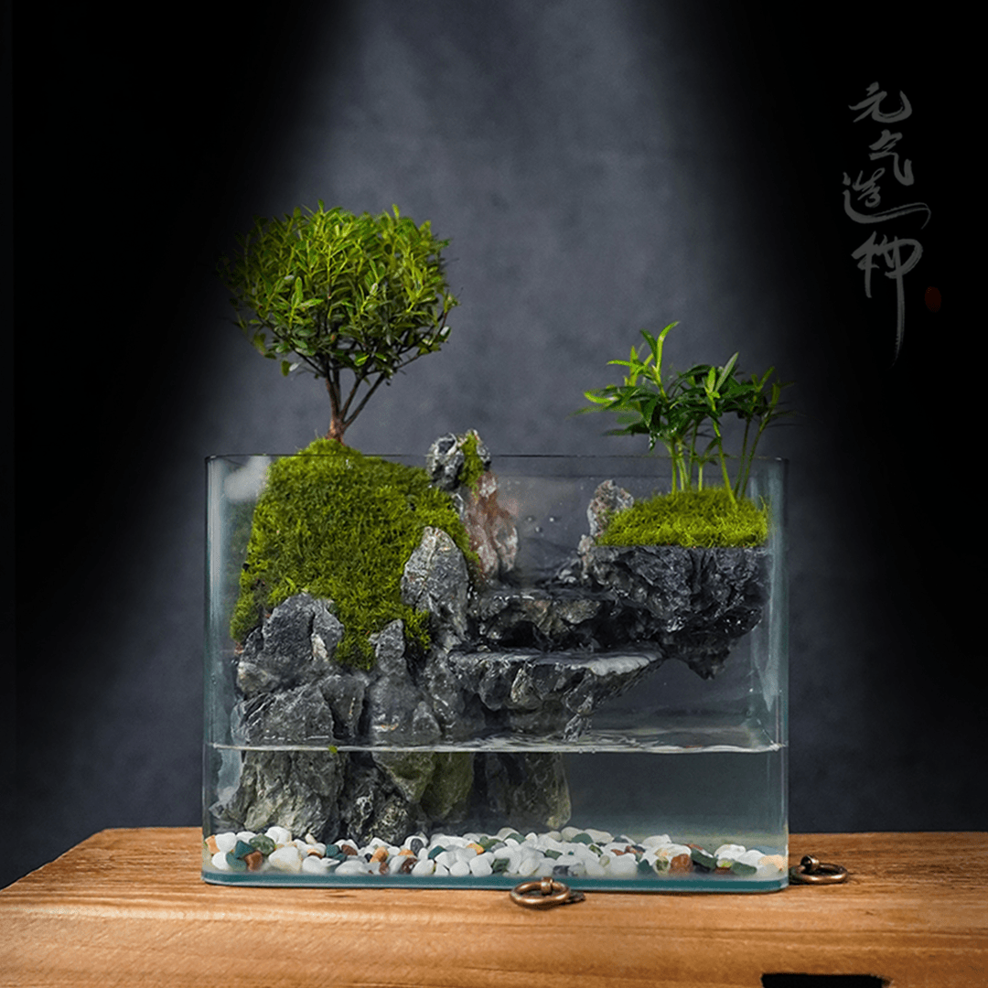 【新品】平川—内置循环流水小叶赤楠绿植造景成品真植物25*16*18