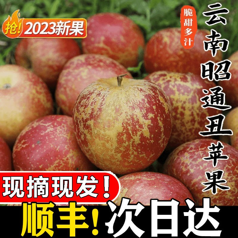 【乐多】云南昭通市丑苹果正宗冰糖心苹果新鲜水果当季整箱孕妇红富