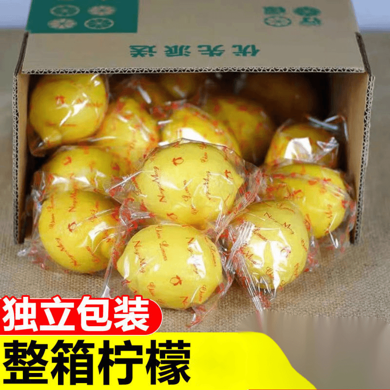 【嘉昊】四川安岳黄柠檬新鲜水果奶茶店专用薄皮一级香水甜柠檬无