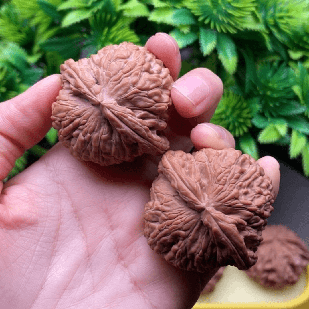 【闪购商品】白狮子42核雕凯****）