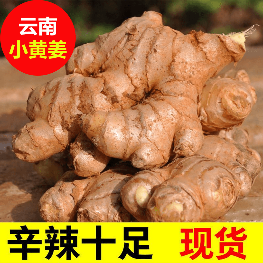 【正宗云南精品小黄姜】云南姜鲜姜老姜土姜嫩姜0.5-9斤坏果包赔