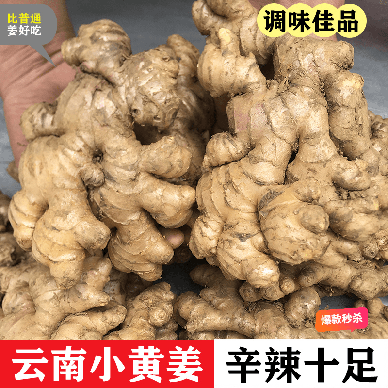 【正宗云南精品小黄姜】鲜姜老姜土姜嫩姜超低价 0.5-9斤 坏果包赔