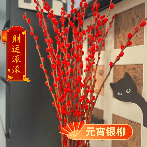 招财银柳真花鲜枝春节年宵花卉水培植物干花红色银柳客厅室内装饰