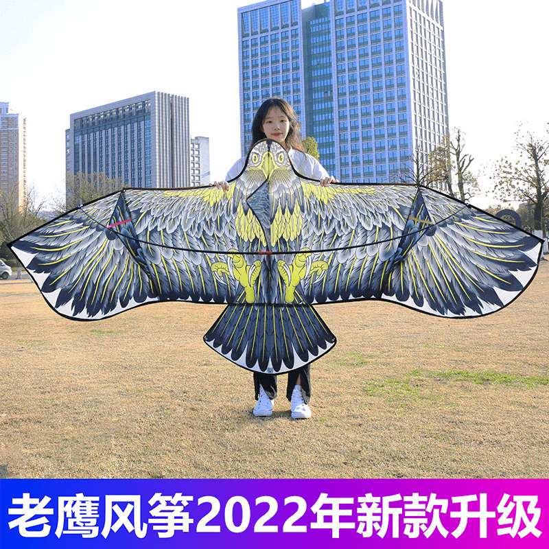 老鹰风筝网红儿童微风易飞成人超大型高档新款高档线轮