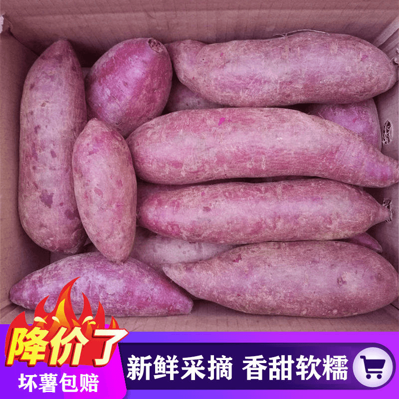 【果丫丫】【香甜粉糯】沙地紫薯新鲜紫心蜜薯红薯地瓜番薯蔬菜批发2/