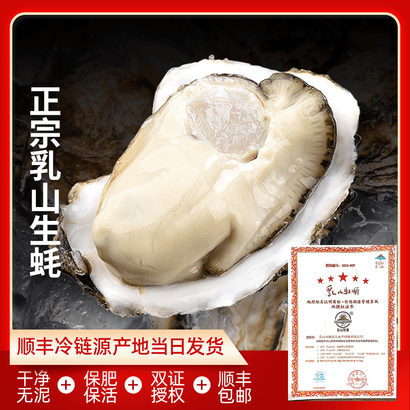 5斤再送半斤正宗鲜活乳山生蚝牡蛎原产地现捞现发清蒸生吃刺身级