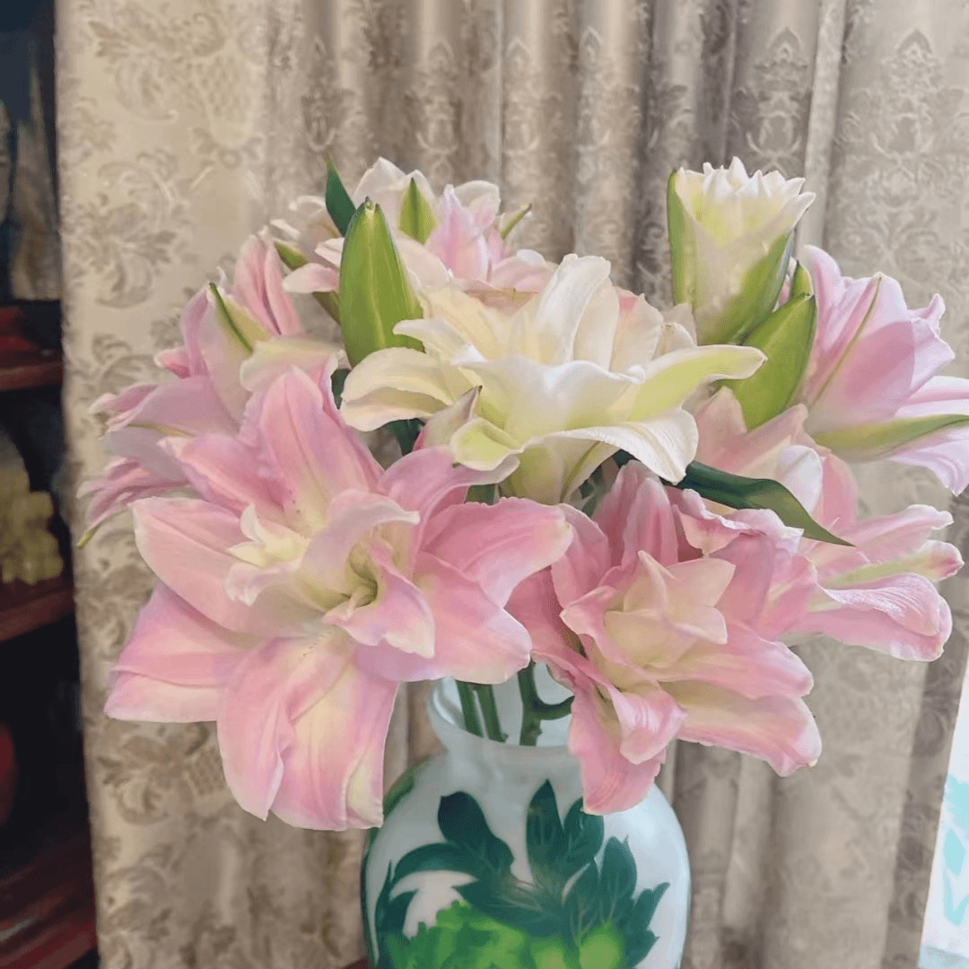 2头贵妃重瓣百合--收到花有任何问题第一时间联系客服高贵