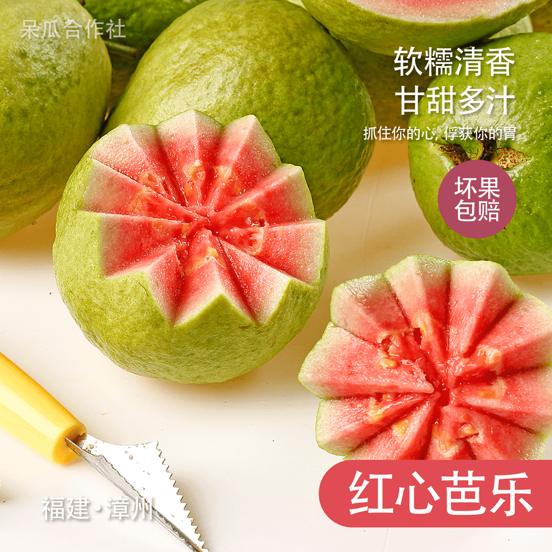 精品福建红心芭乐 软糯香甜清香多汁净含量3～5斤