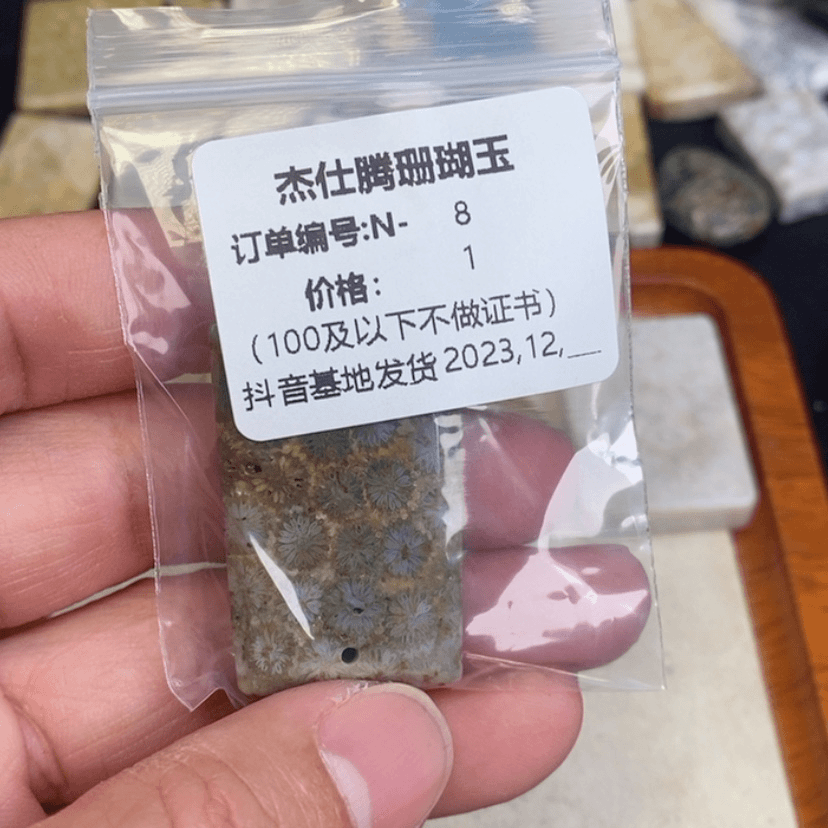 【闪购商品】硅化珊瑚（珊瑚玉）颈饰未镶嵌用****0