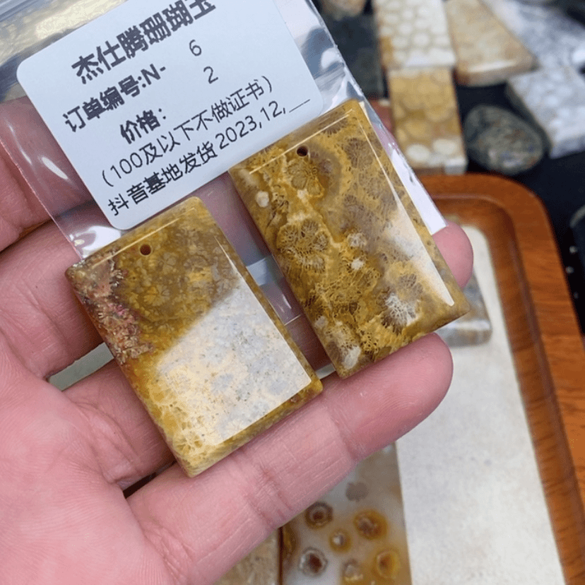 【闪购商品】硅化珊瑚（珊瑚玉）颈饰未镶嵌用****0