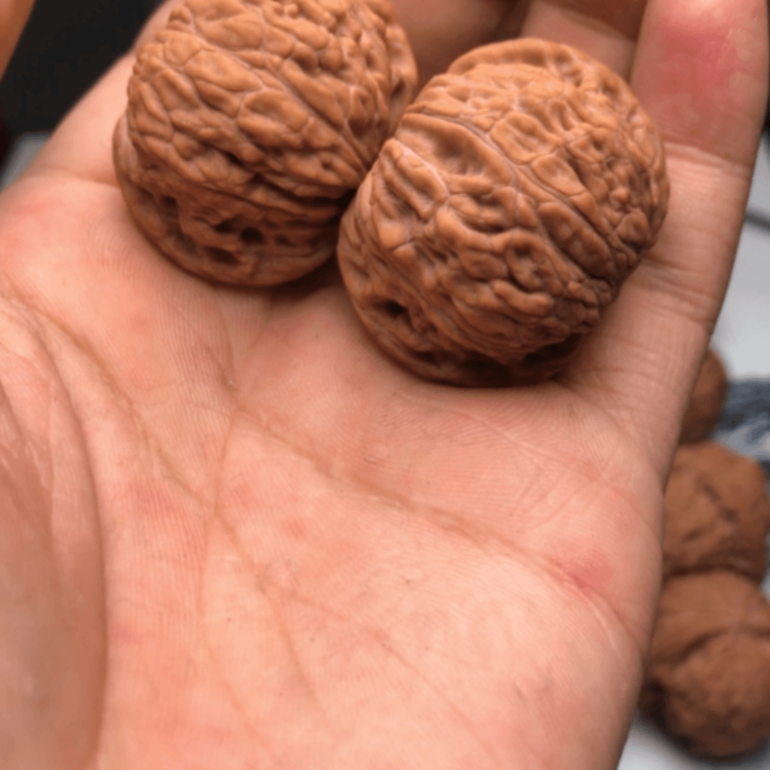 【闪购商品】文玩核桃把件懒**咏101