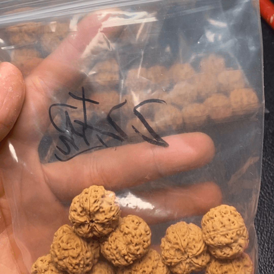 【闪购商品】金刚菩提手串@**角