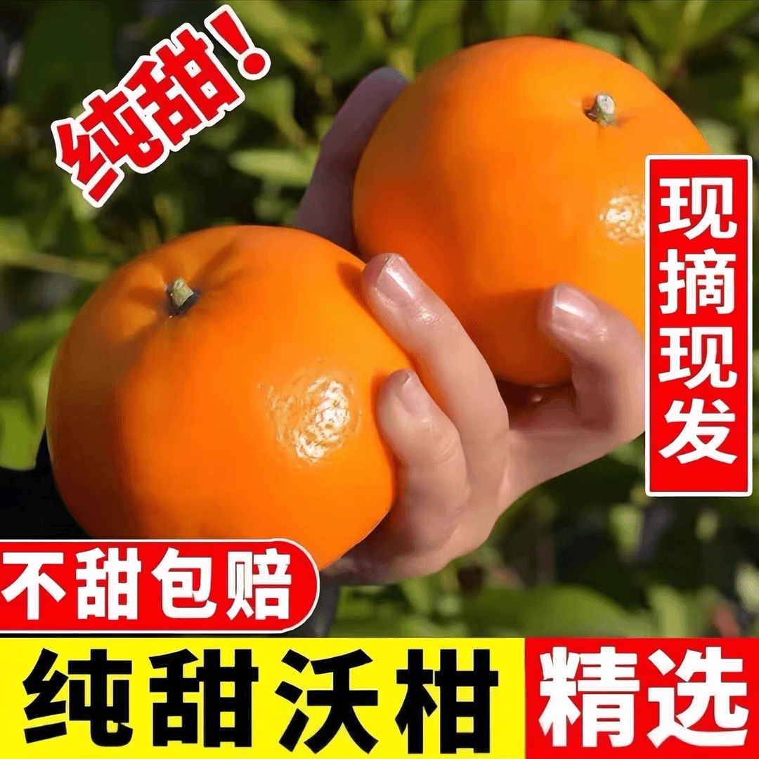 高源新鲜沃柑1-9斤现摘砂糖橘桔耙皇帝橘柑桔孕妇水果纯甜整箱