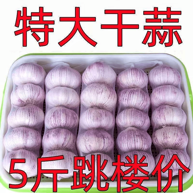 【新店半价】大蒜头批发干蒜紫皮大蒜头1-5斤干蒜特大新鲜大蒜批发