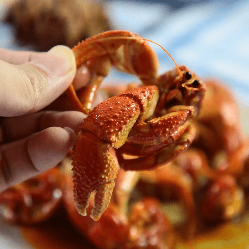 全国发货 【带壳虾怪 寄居蟹】带壳3-5斤装 保鲜不保活 回头客过万