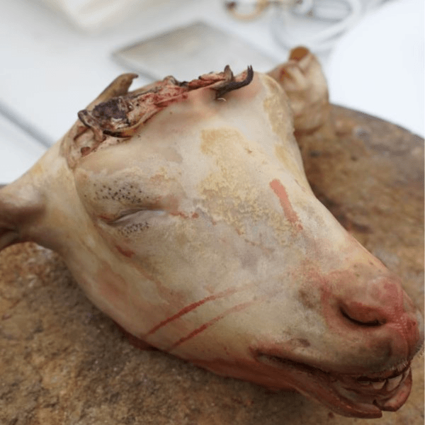 牛魔王【羊脑壳】羊肉当天现杀羊脑壳一整个3.5斤左右