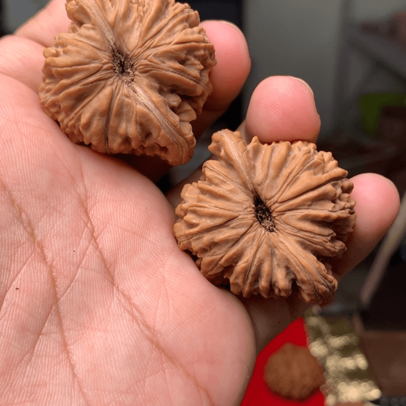 【闪购商品】文玩核桃把件涂*贤