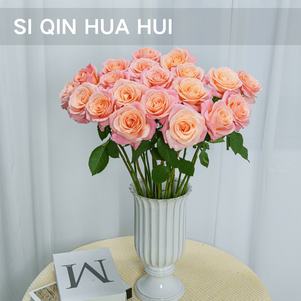 【思芹花卉丨猪小姐方德嘉荷】A级无土栽培玫瑰鲜切花，顺丰空运包邮