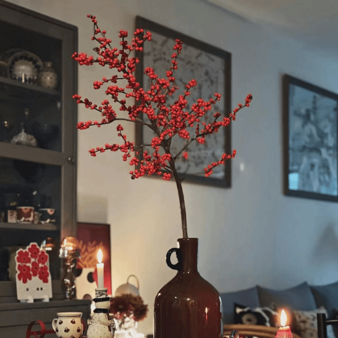 【无锡花展专场|90-100cm一枝独秀】AA级北美冬青，花期长，顺丰空运