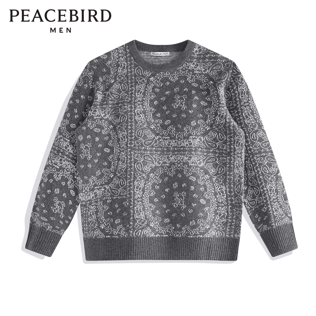 PEACEBIRD/太平鸟男装 圆领休闲时尚流衣宽松毛衣针织衫B2EBB4383
