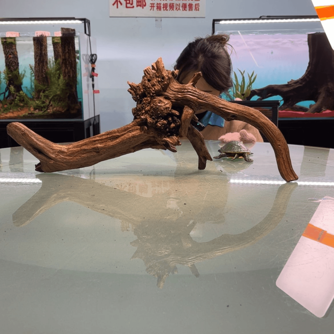 【闪购商品】陶瓷碗坚**头672