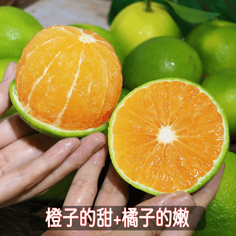 【大杨】云南冰糖橙新鲜橙子水果当季/现货正宗整箱现摘冻甜橙手剥