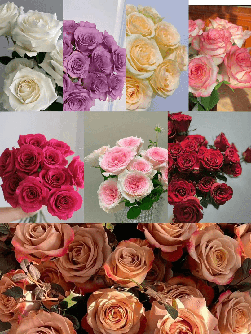 【BC级玫瑰 任意3单包邮】云南基地直发家庭办公室水养鲜切花观赏