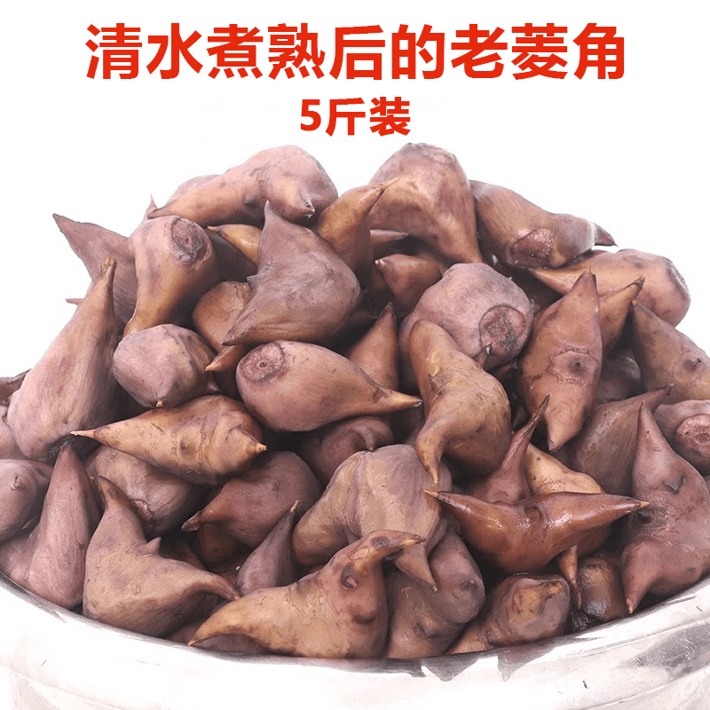 现摘新鲜老菱角5斤装带壳苏北嫩老菱角农家香脆面菱角米菱角2500g