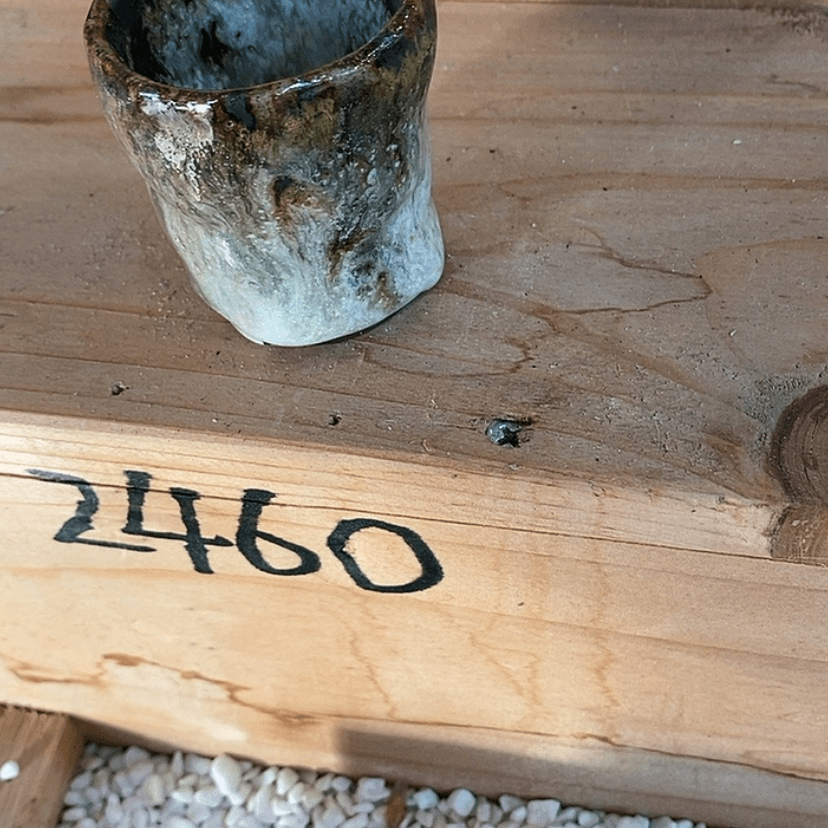 【闪购商品】陶瓷陶瓷