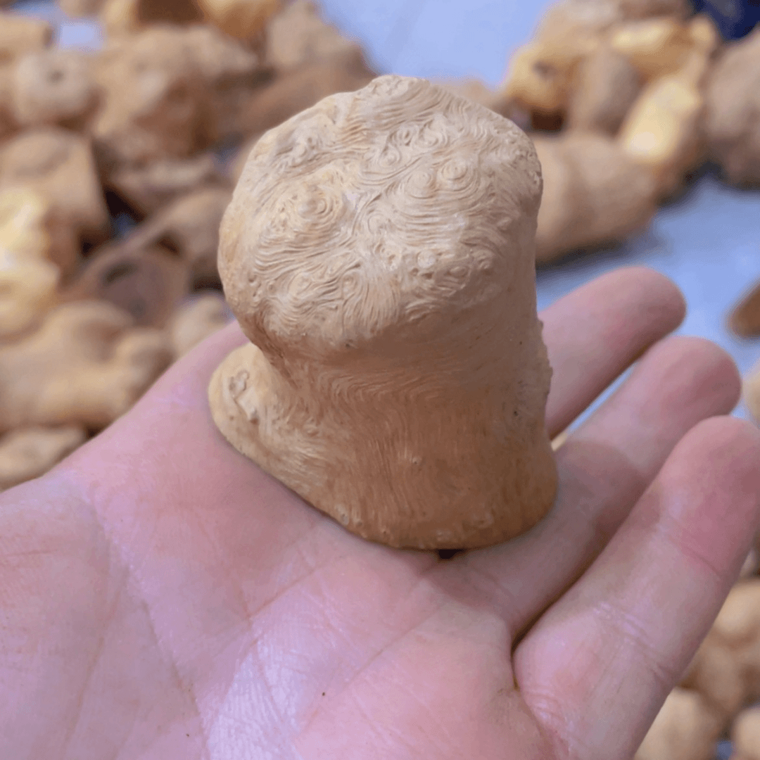 【闪购商品】荔枝木正**行
