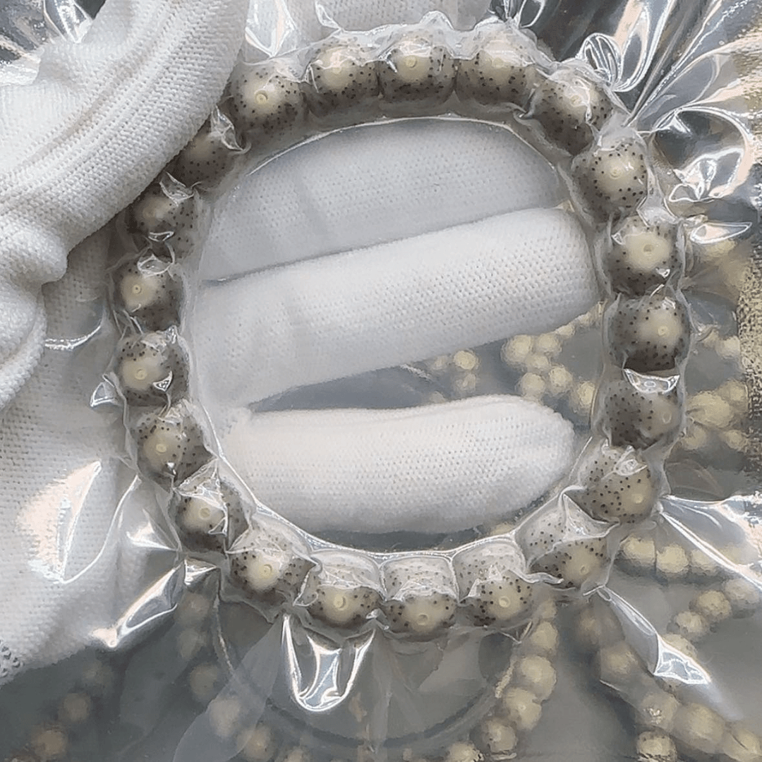 【闪购商品】星月菩提吊坠忆**光