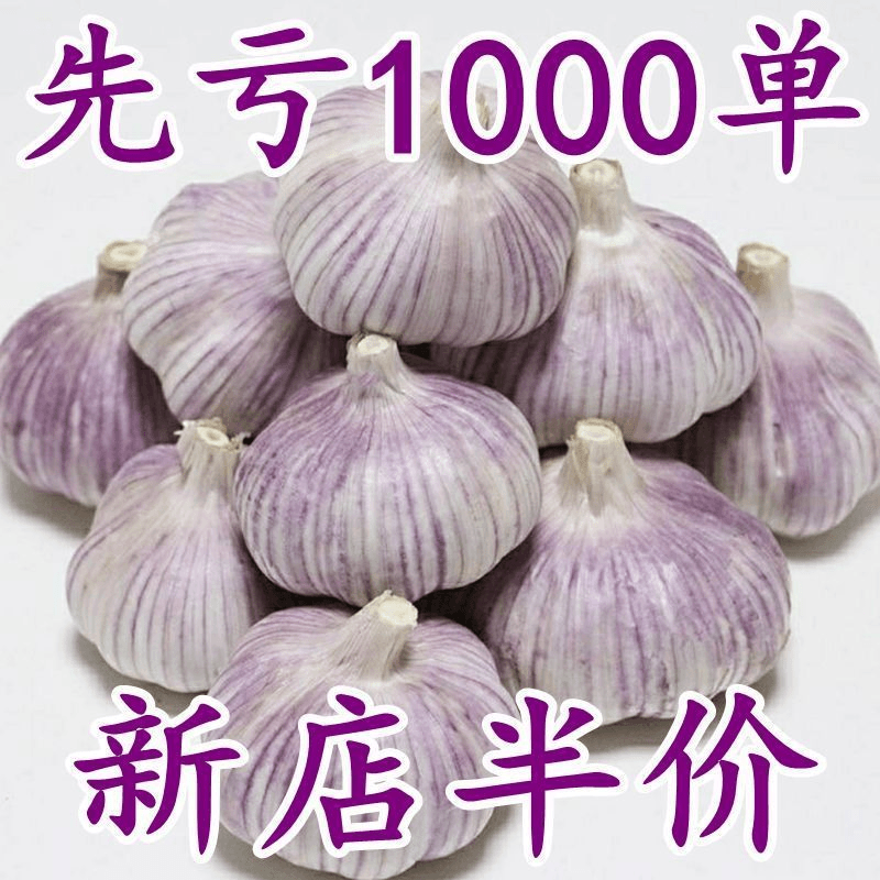 山东紫白皮大蒜头整箱新干蒜蒜头紫白皮新鲜大蒜头食用蒜100g