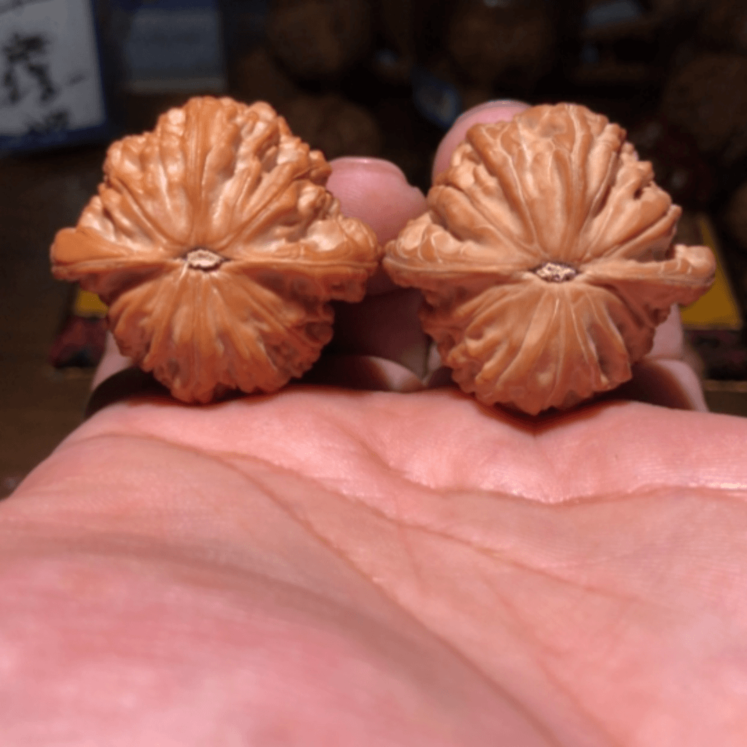 【闪购商品】木质核雕