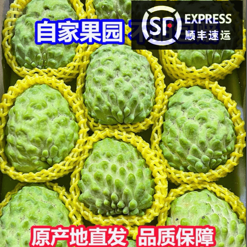 【顺丰包邮】广西生态凤梨释迦果2-5装斤香甜皮薄现摘多汁成熟发货