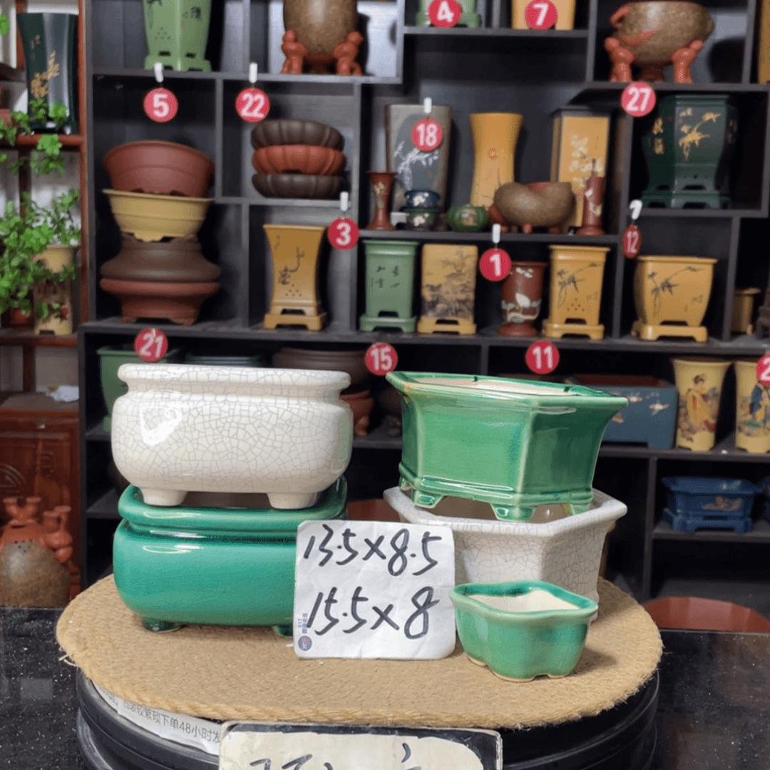 【闪购商品】紫砂15cm以下