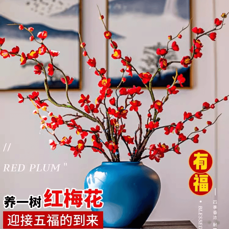 干枝红梅鲜切花室内水培植物鲜花花束水养澳洲腊梅鲜枝干支浓香型