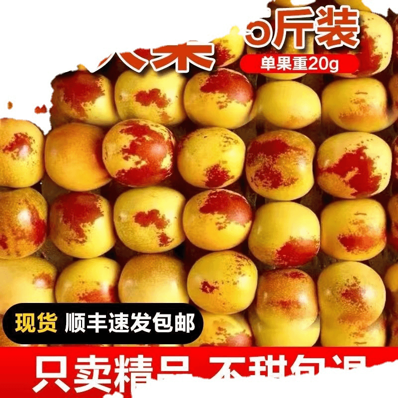 【阿昊】冬枣现货山东沾化新鲜水果脆甜陕西大荔红青应季整箱批发孕