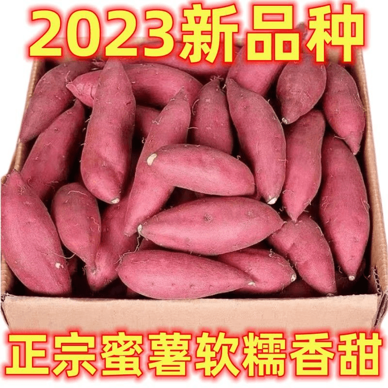 【阿昊】【】超甜新鲜红薯沙地板栗蜜薯粉糯黄心糖心蜜薯西瓜红红心