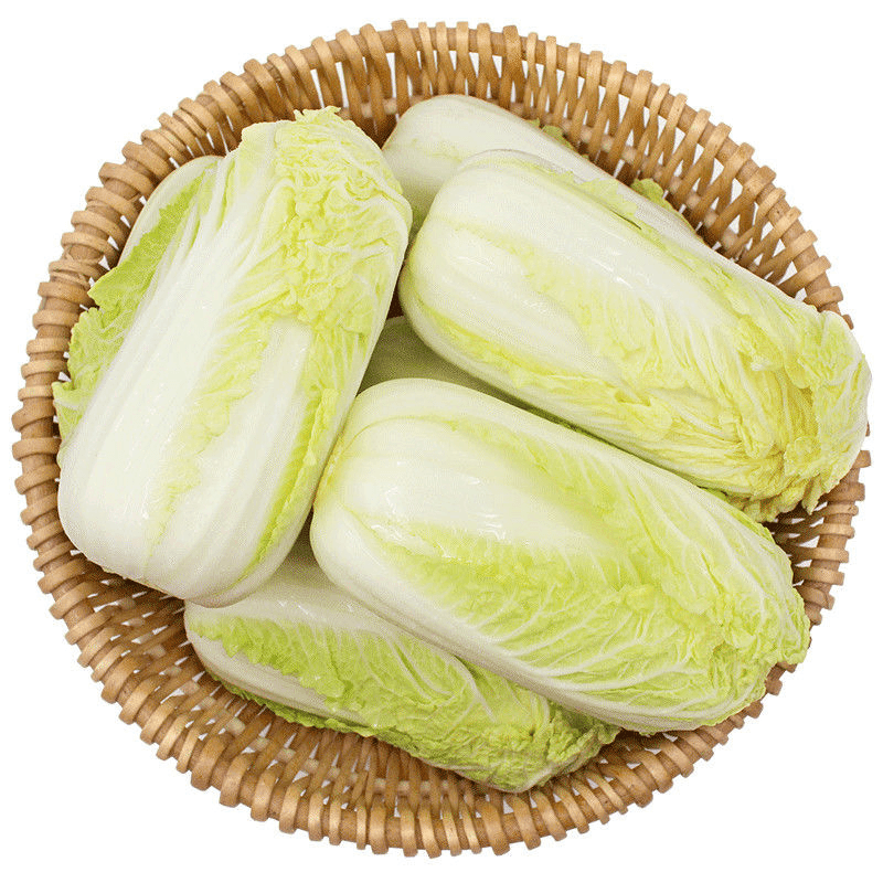 【东北内蒙专属】新鲜现挖黄心大娃娃菜5斤装脆嫩多汁黄芽菜保温箱