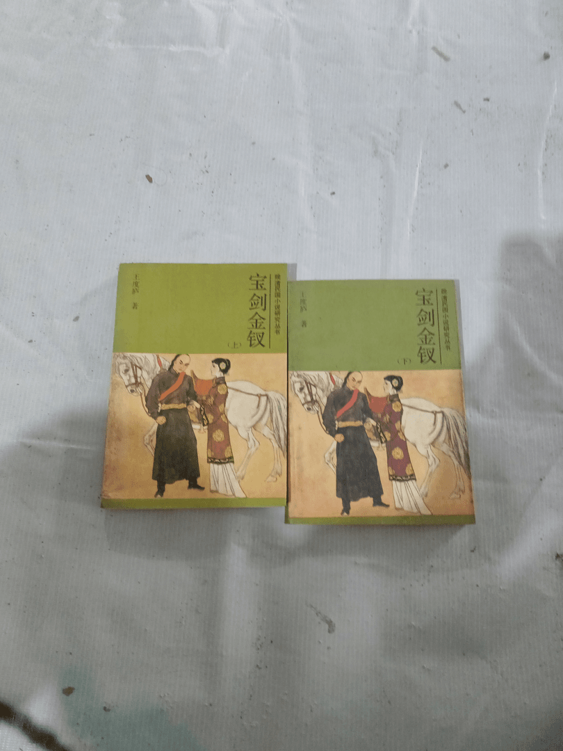 85新  宝剑金钗：上下王度庐著