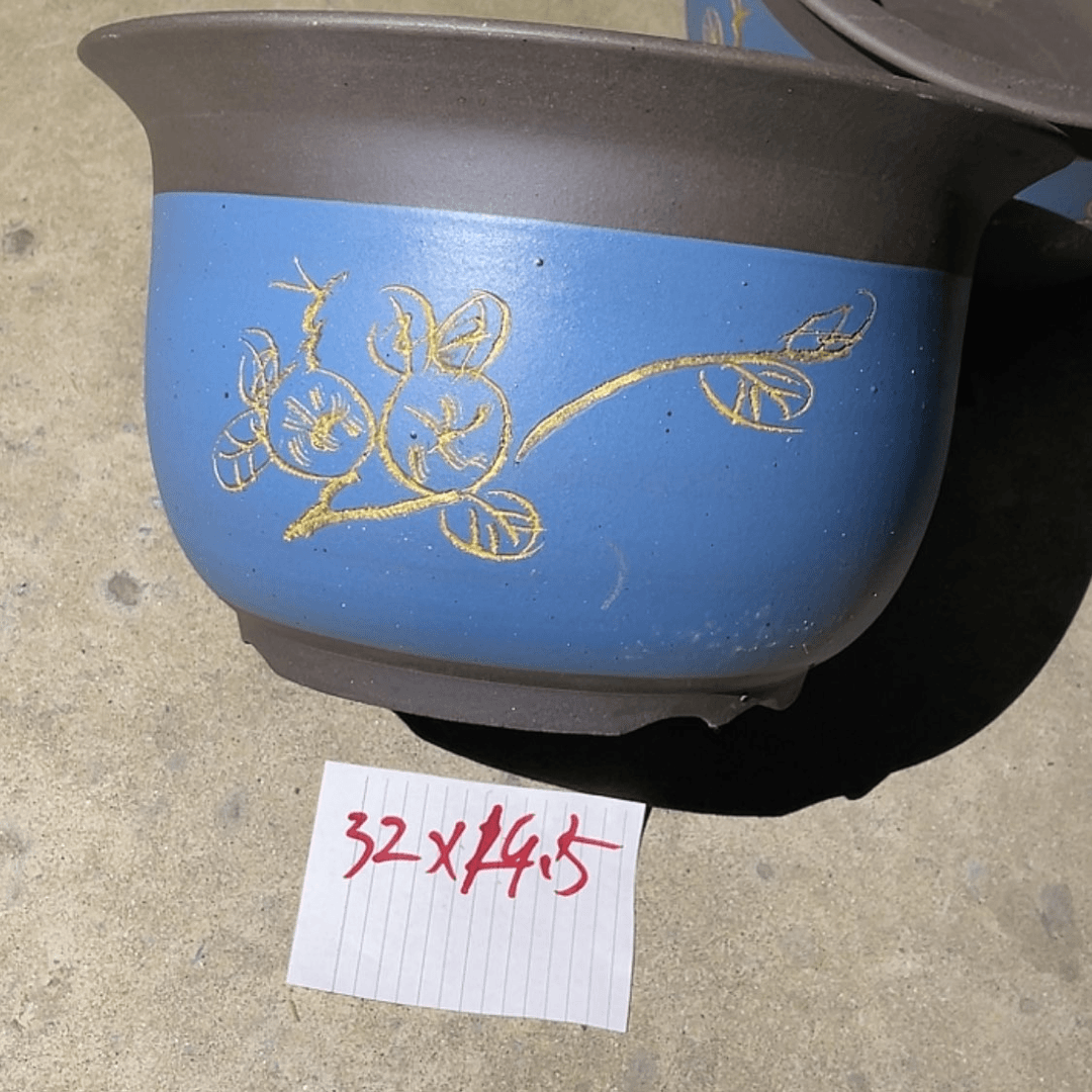 【闪购商品】紫砂20cm(含)-50cm(含)