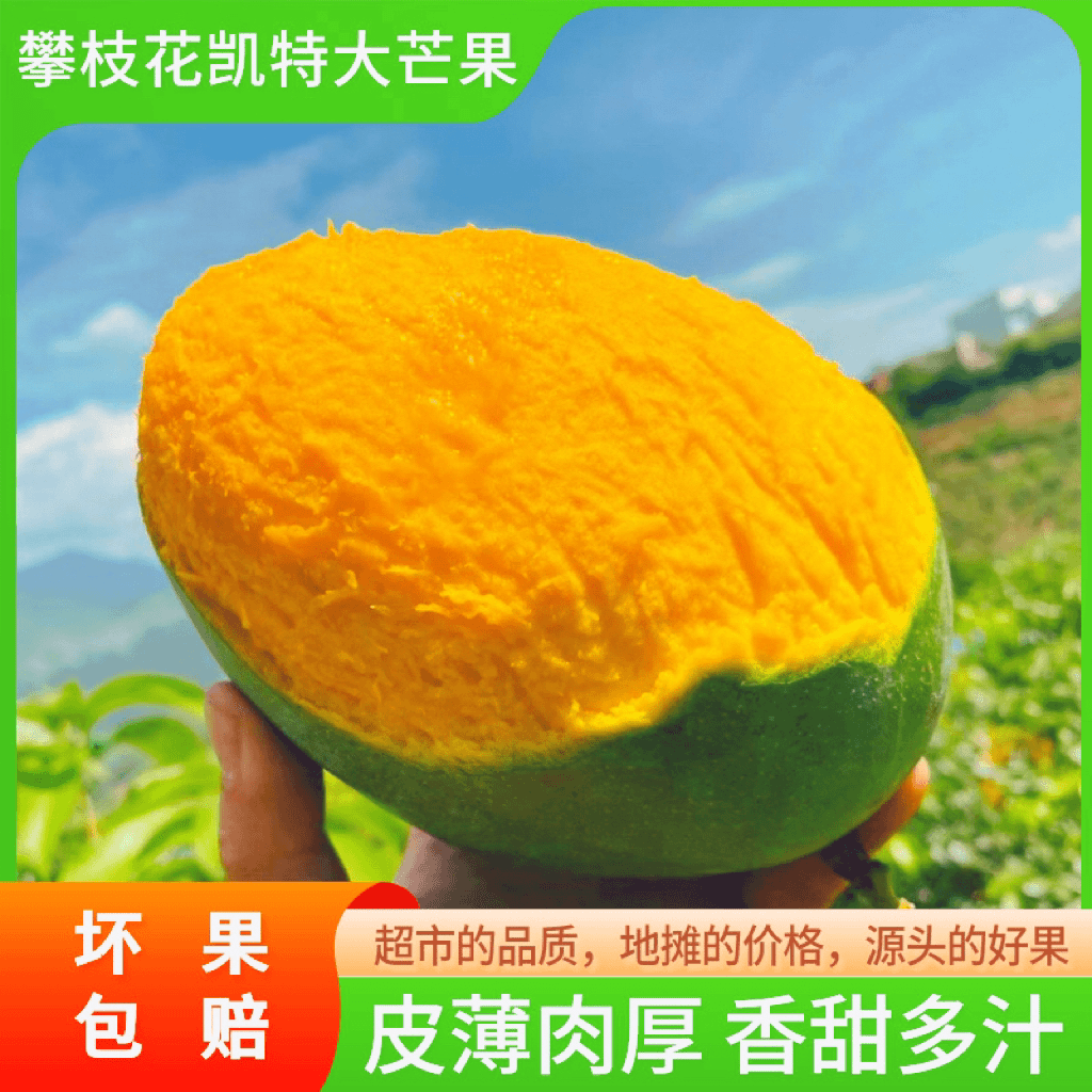 特价攀枝花芒果场地直发香甜凯特大青芒整箱大斤新鲜水果整箱包邮
