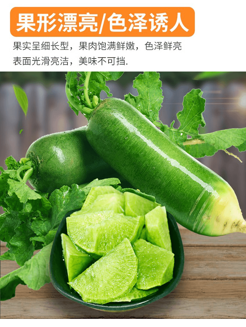 M陕西秦岭山下农家青皮脆萝卜现摘现发5斤10斤