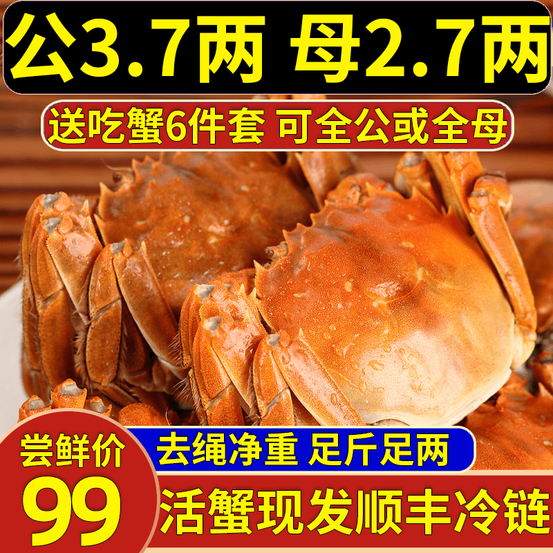 【顺丰空运】【活蟹】知蟹堂大闸蟹饱满3.7公2.7母5对10只鲜活礼盒装