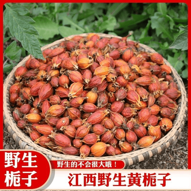 栀子栀子江西黄栀子果栀子茶山枝子食用包邮山栀子100克500克