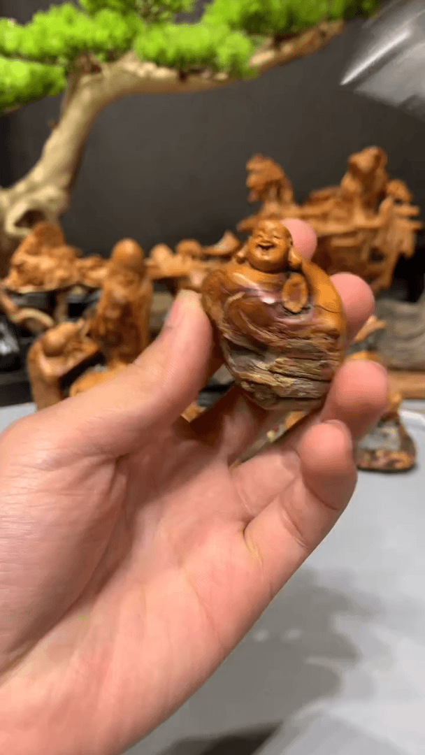 【闪购商品】崖柏·