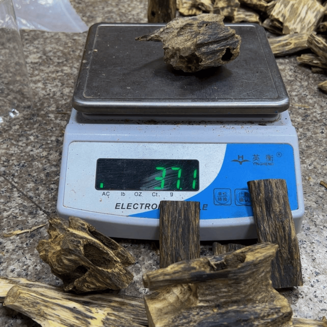 【闪购商品】雕刻木材异**间