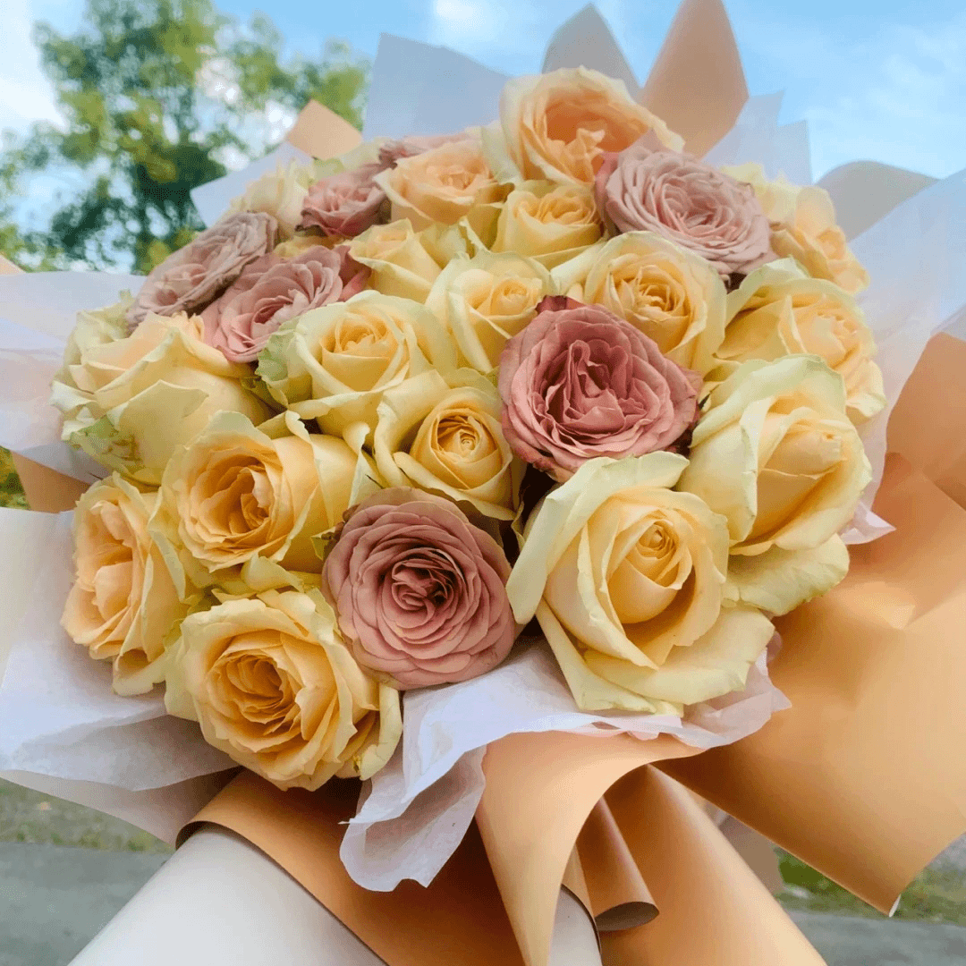 【卡布+香槟+向日葵】云南鲜花养护鲜花直播间现场直播卖花花卉绿植